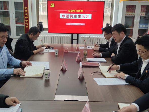 甘肅省演出公司黨支部召開黨史學(xué)習(xí)教育專題民主生活會(huì)